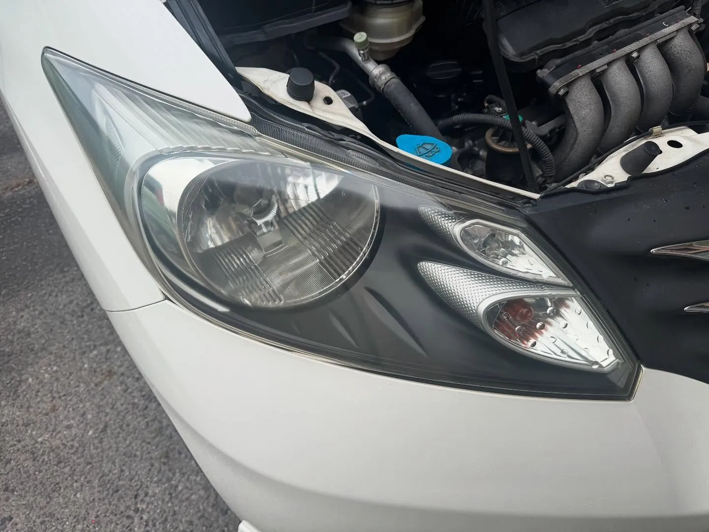 お世話になります!